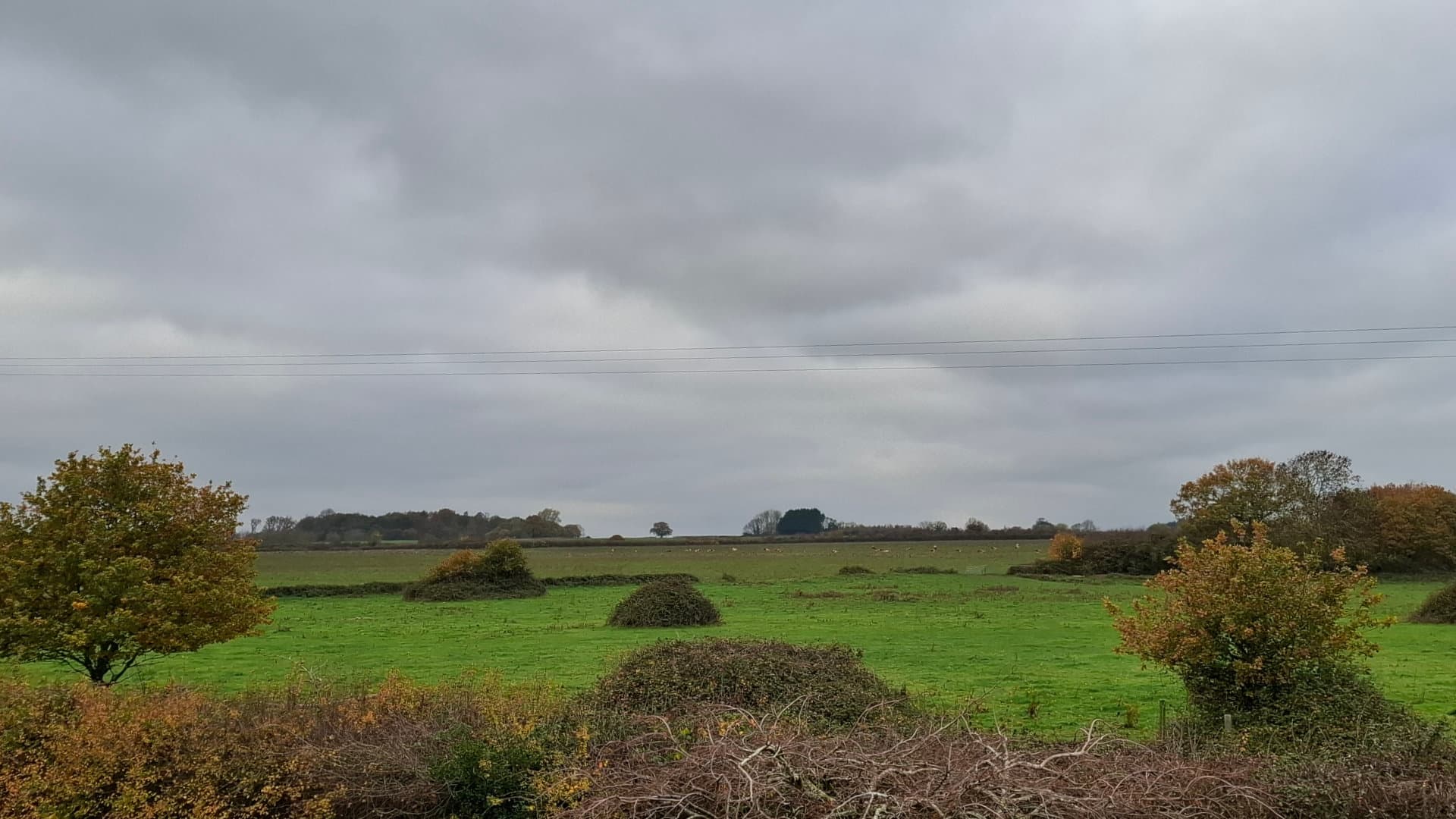Mileham Landscape